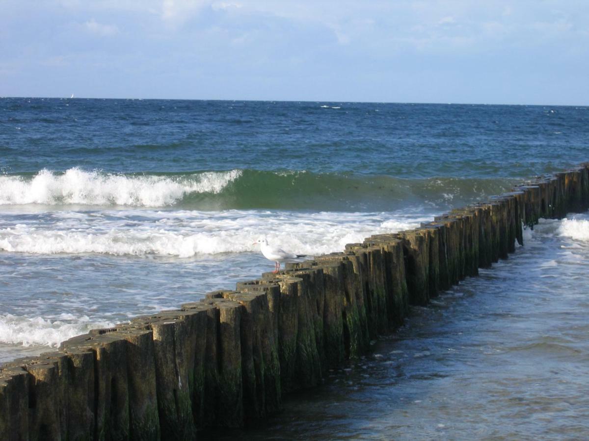 Börgerende-Rethwisch "Strand-Gut" מראה חיצוני תמונה